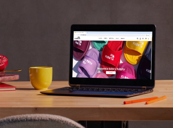 106081b18414a6b3f991992fdd6767575da1bde3-wooplug3