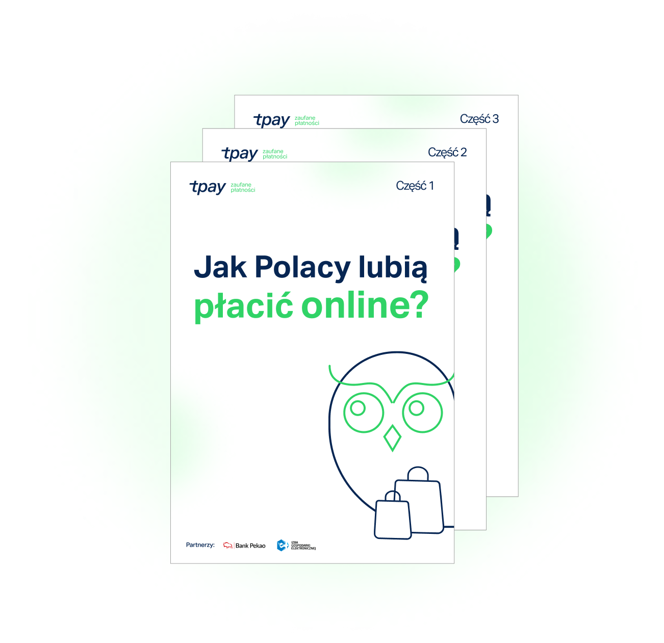 734873c8712c5fa9f1db94ace4ad82e896c17b70-naglowek-raport-tpay-min